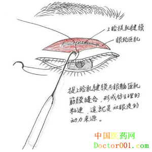 QQͼ20181124091433.png