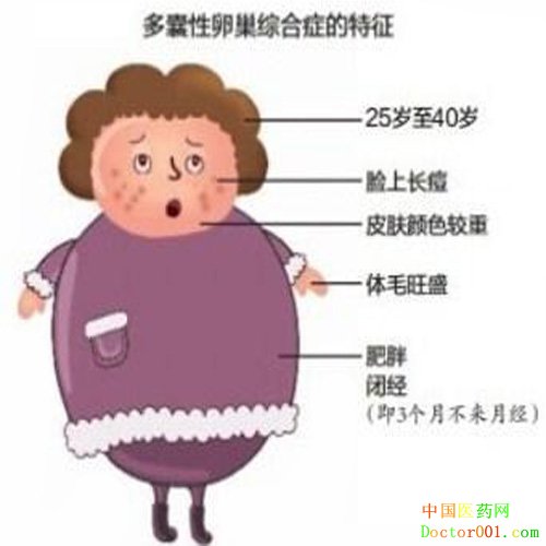 555.jpg