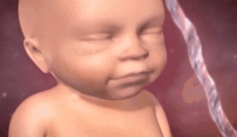 ΢ͼƬ_20181231161602.gif