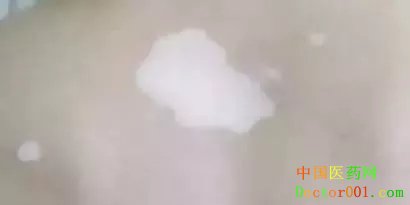 1640.webp.jpg