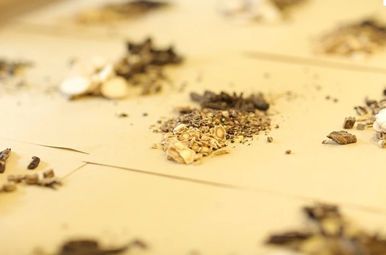 肾宝片的功效与作用 肾宝片的功效与作用